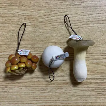 네이처 테크니컬러 버섯 소프트 스트랩