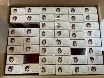 AKB48 베어브릭 미개봉 새상품 세븐