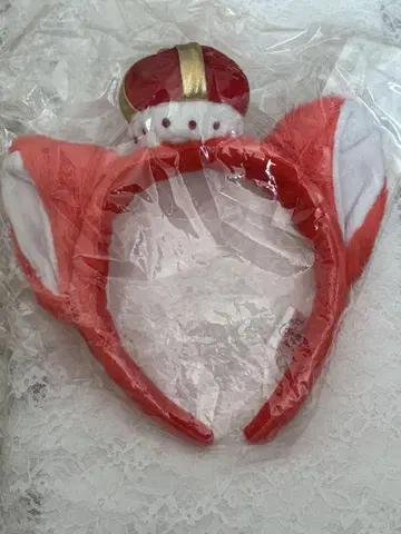 리이누 군
