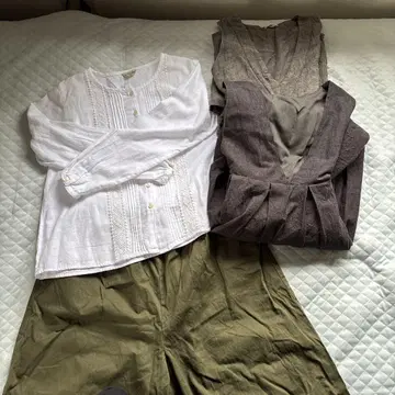 사만사 모스모스 묶음 판매