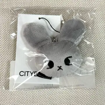 CITYBREEZE NCT 도영 키링 그레이