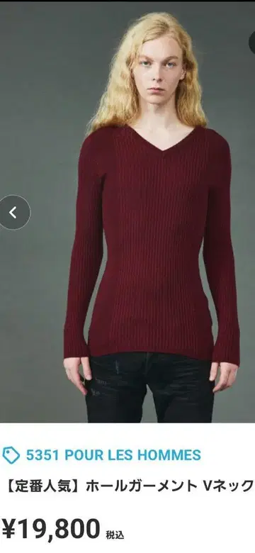 5351 POUR LES HOMMES V넥 니트 46 보르도