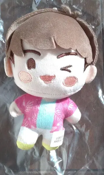 Jin BTS Island in the SEOM 마스코트 컬렉션