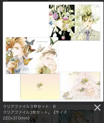 시미즈 레이코 클리어 파일 비밀