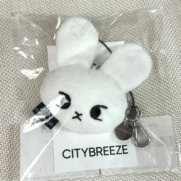 CITYBREEZE NCT 도영 키링 화이트