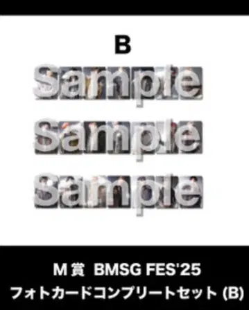 BMSG 페스티벌 25 온라인 복권 포토 카드 컴플리트 세트 (B)