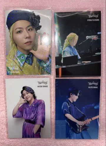미세스 사진 카세트