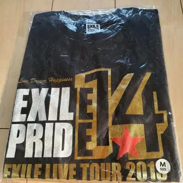 EXILE PRIDE LIVE 2013 티셔츠 M 사이즈