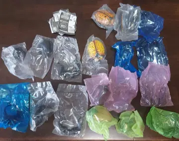 생물대도감 사슴벌레 09 6종 컴프 세트