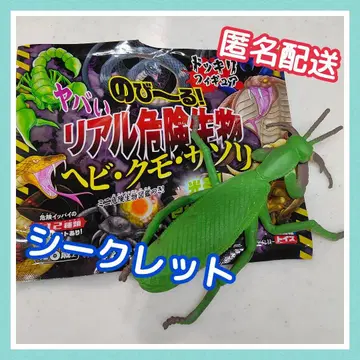 쭉쭉 늘어나는! 위험 생물 뱀 거미 전갈 BOOK 시크릿 사마귀