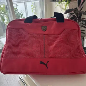 Ferrari 빨간색 백 메쉬 디자인