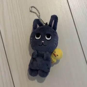 RIIZE 원빈 봉제 인형 토냥이 키링 10cm 인형