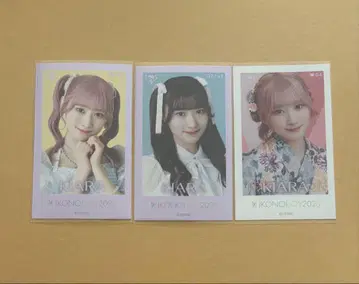 사이토 쥬아라 미니 사진 컴프 레어 이코노이조이 2023 =LOVE