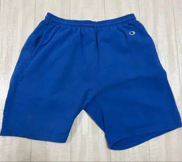 Champion 챔피온 9oz Terry Fleece 테리 플리스
