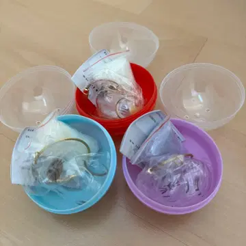 우리 집 털뭉치 삼색 고양이 샤무스 사바트라