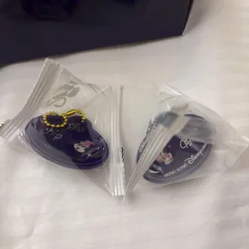 홍콩 디즈니랜드 20주년 네임택 키링 칩과 데일 세트