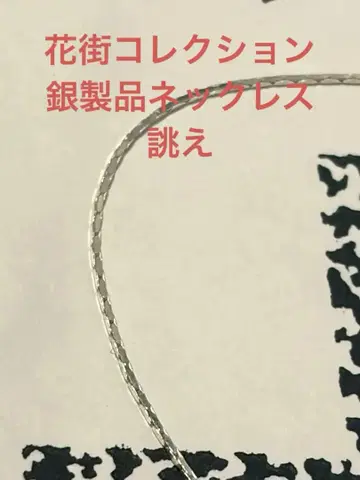 궁극의 섬세함 극세 은제 목걸이