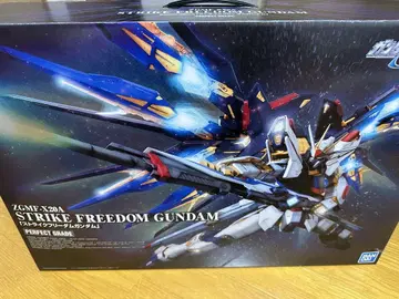 스트라이크 프리덤 건담 PG