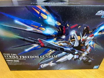 스트라이크 프리덤 건담 PG