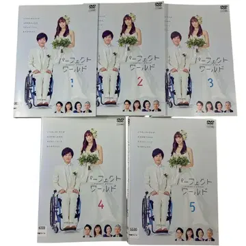 [ DVD ] TV 드라마 퍼펙트 월드 전권 요약 5권 세트
