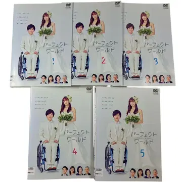 [ DVD ] TV 드라마 퍼펙트 월드 전권 요약 5권 세트