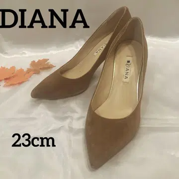 DIANA 브라운 스틸레토 펌프스