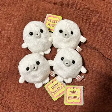 미니 콩 물개 4마리