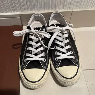 converse 척테일러 로우컷 24cm