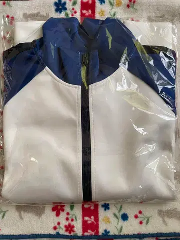 하이큐 키타가와 제1 중학교 저지