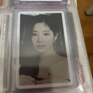 celebrate 다현 하이터치권