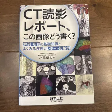 CT 판독 리포트, 이 이미지는 어떻게 작성할까?