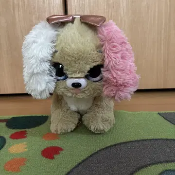 선물 반려동물 타카라토미