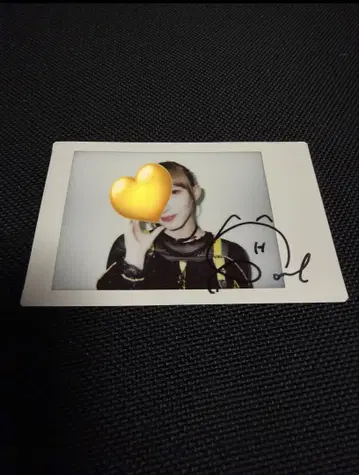 FRUITS ZIPPER 하야세 노엘 B상 사인 포함 폴라로이드