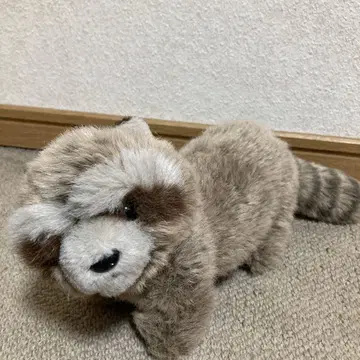 GUND 아라이 너구리 봉제 인형