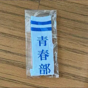 L 사이즈 [ 새상품 ] 새로운 학교의 리더즈 양말 삭스 청춘부