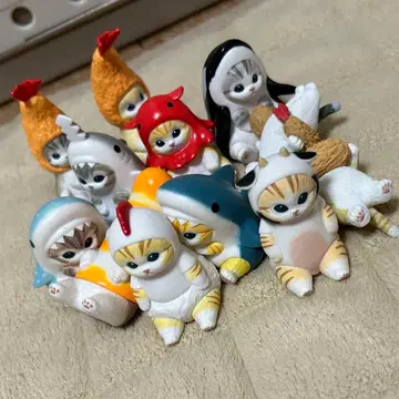 모프 샌드 컴플리트 세트 묶음 판매