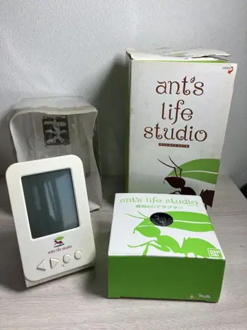 라이프 스튜디오 ant's life studio