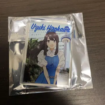 청춘 돼지는 바다 파라다이스 아크릴 블록 히로카와 우즈키