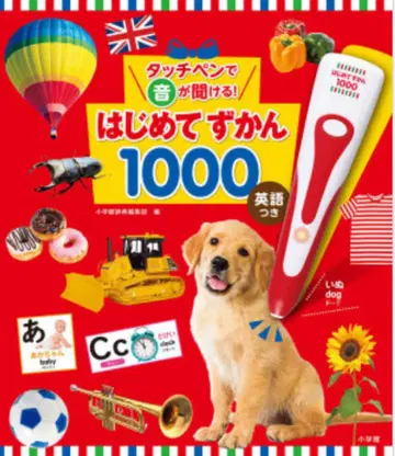 처음 배우는 그림책 1000 영어 포함