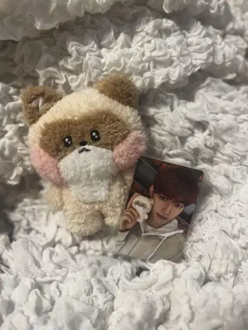 장하오 하니니 봉제 인형 트레이딩 카드