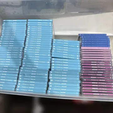 안스리움 새상품 100장
