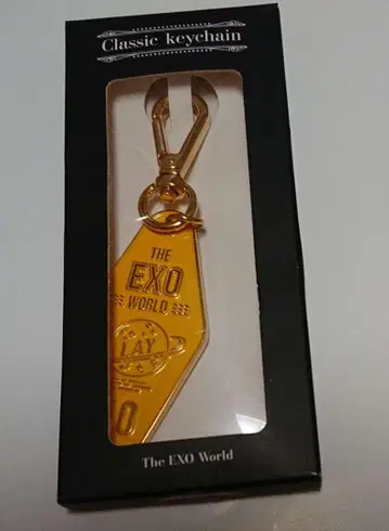 EXO 레이 THE EXO WORLD 메탈 키링