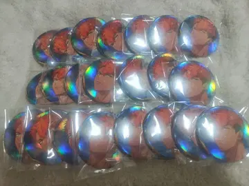 파라라이 파라러브 학원 한여름의 환영 캔뱃지 토사 료가