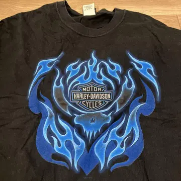 Harley-Davidson 할리데이비슨 롱티