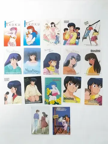 메종 일각 라미네이티드 카드 17장 세트 2 카세트 인덱스