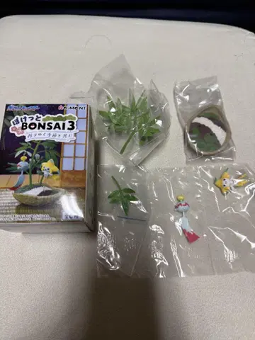 포켓 BONSAI3 지라치&치린