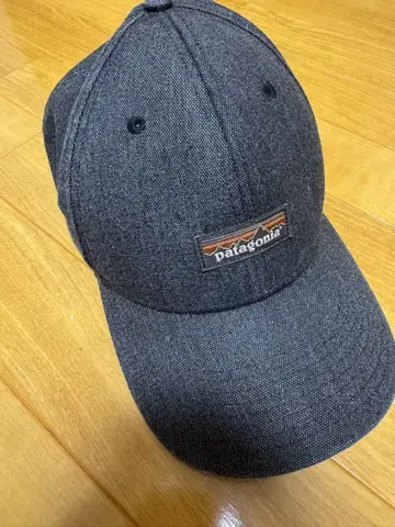 Patagonia 캡