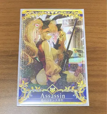 FGO 아케이드 빛의 코얀스카야 성배 100LV 페이탈