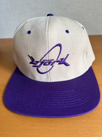 90s bjork 비요크 캡 specialvintage 빈티지