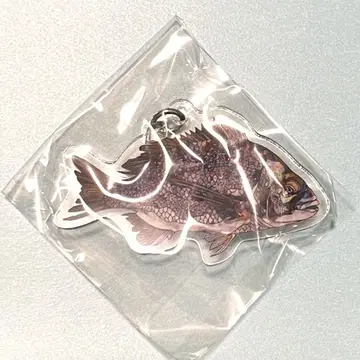 아쿠아 토토 기후 한정판 평면 수족관 쿠로다이 아크릴 키링